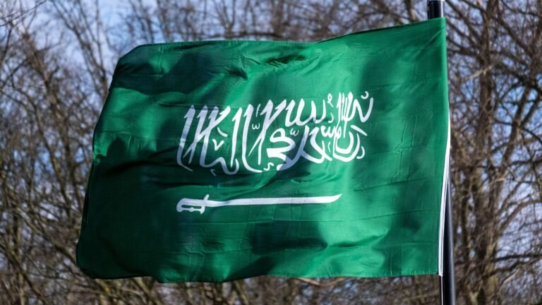 مصر والسعودية بمجموعة واحدة كأس العالم لكرة اليد
